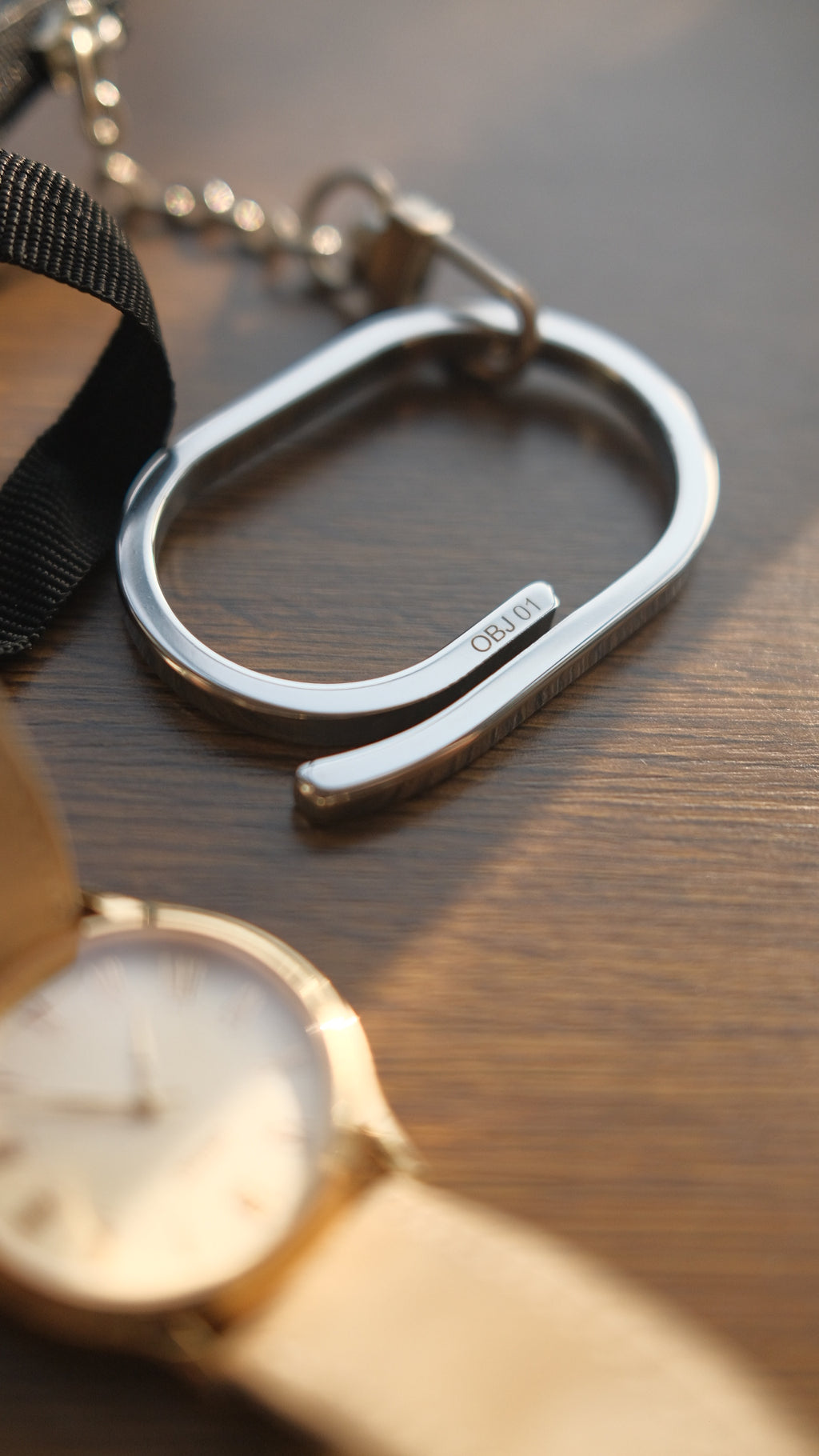 OBJ 01 — Carabiner